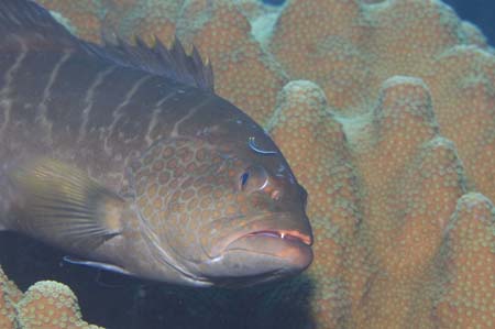 2006-12-1320061213DSC#0001