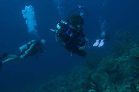 12100620061210DSC_3897