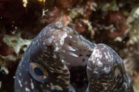 2006-12-2720061227DSC_4909