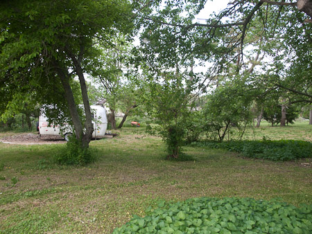 Guest Quarters after first week